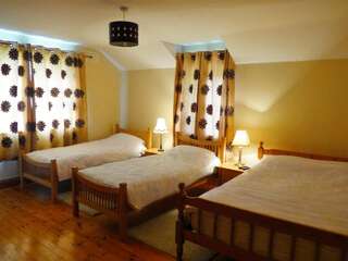 Отели типа «постель и завтрак» Ash House Bed and Breakfast Calverstown Просторный двухместный номер с 2 отдельными кроватями-4