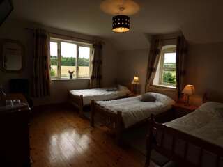 Отели типа «постель и завтрак» Ash House Bed and Breakfast Calverstown Просторный двухместный номер с 2 отдельными кроватями-5