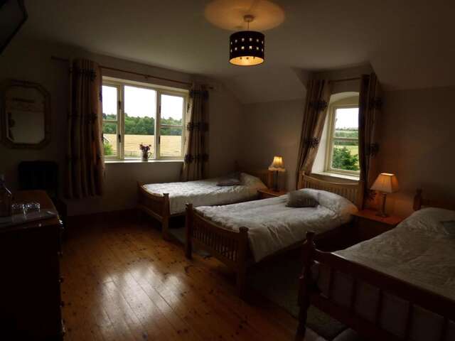 Отели типа «постель и завтрак» Ash House Bed and Breakfast Calverstown-25
